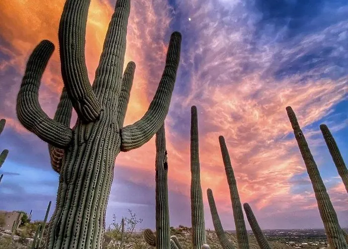 Holiday home Western-style Bunkhouse With Scenic, Desert Trails Near Scottsdale, Arizona *