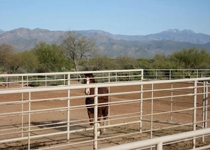 Western-style Bunkhouse With Scenic, Desert Trails Near Scottsdale, Arizona Holiday home Scottsdale