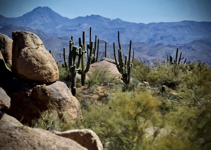 Western-style Bunkhouse With Scenic, Desert Trails Near Scottsdale, Arizona Holiday home Scottsdale